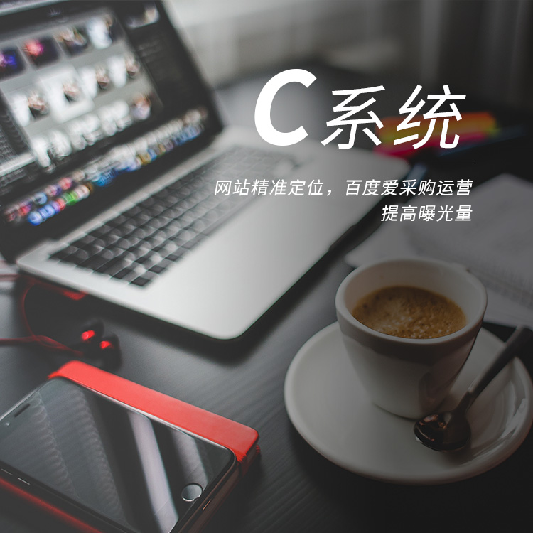 構(gòu)建營銷網(wǎng)站的過程中需要優(yōu)化哪些細節(jié)