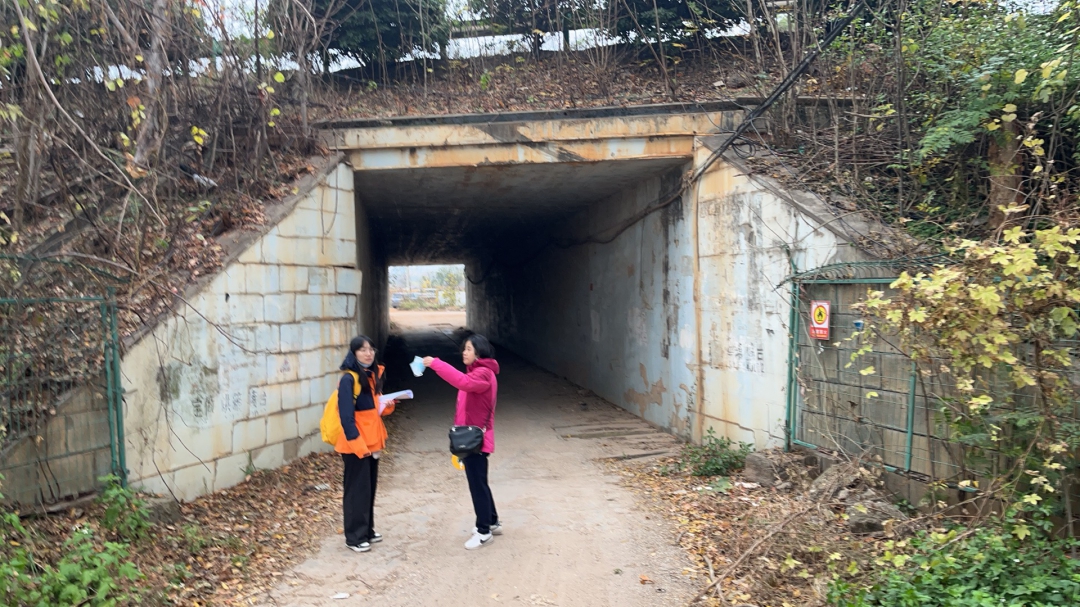 20260309110466.jpg 公路事業部陳晶、李思佳-機場高速擴容工程外業調查.jpg